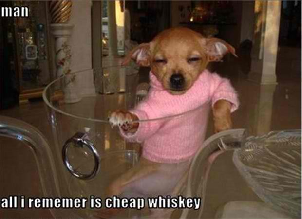 One too many cheap whiskey, apparently