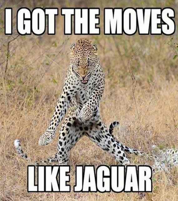 Moves like jaguar